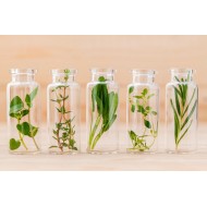 Aceite Esencial Lavanda