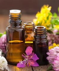 Aceites Transpotadores
